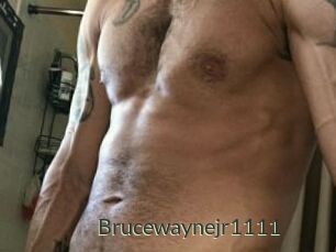 Brucewaynejr1111
