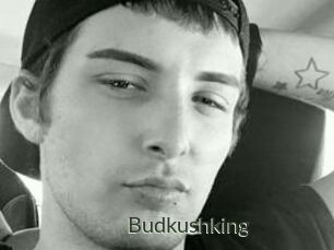 Budkushking