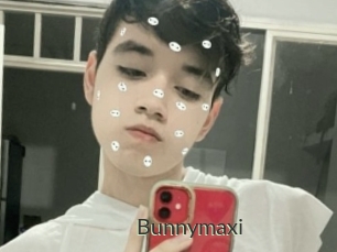 Bunnymaxi