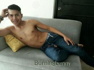 Burningbunny