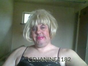 CDJANINE1182
