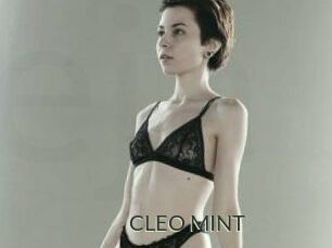 CLEO_MINT
