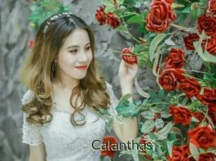 Calanthas