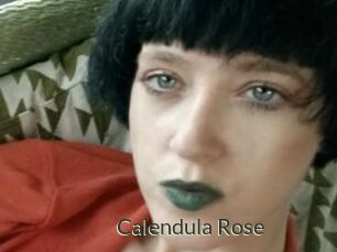 Calendula_Rose