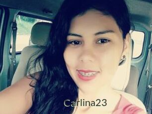 Carlina23