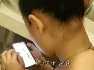 CatCat1668