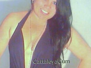 CattaleyaCum