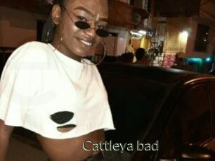 Cattleya_bad
