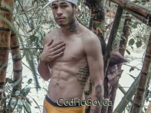 CedricGovea