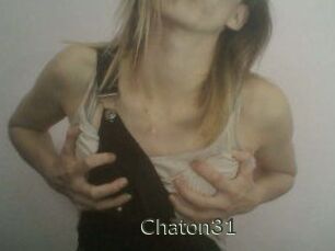 Chaton31