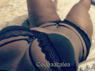 Cocoaazalea