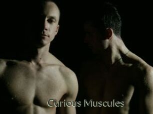 Curious_Muscules