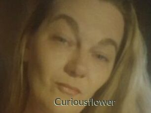 Curiousflower