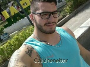 Calicheneitor