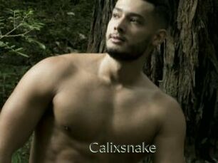 Calixsnake