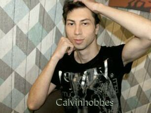 Calvinhobbes