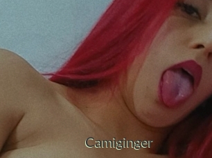 Camiginger
