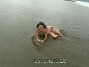 Canariona23