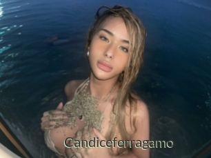 Candiceferragamo