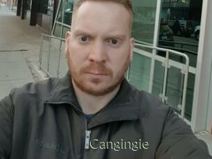 Cangingie