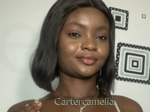 Cartercamelia