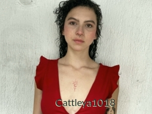 Cattleya1018