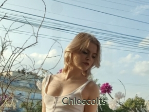 Chloecolts