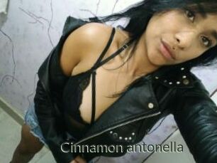 Cinnamon_antonella
