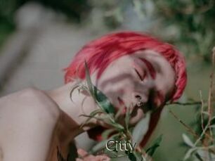 Citty