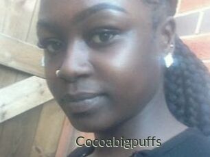 Cocoabigpuffs