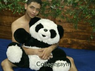 Collegegaym