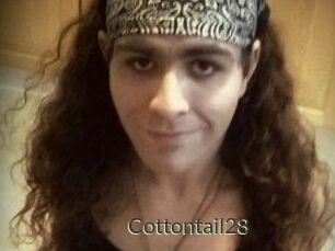 Cottontail28