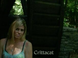 Crittacat