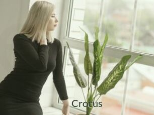 Crocus