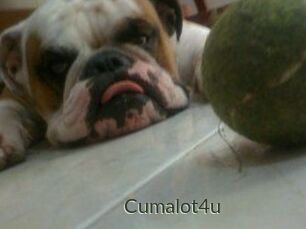 Cumalot4u