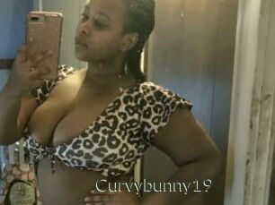 Curvybunny19