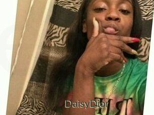 DaisyDior