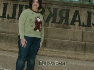 Daisy_Bear