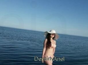 DestinyAnel