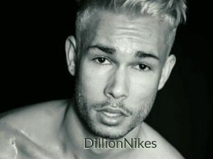 DillionNikes