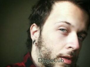 DingoCub