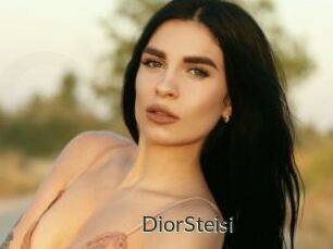 DiorSteisi