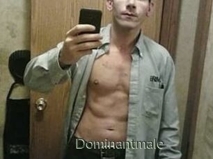 Dominantmale