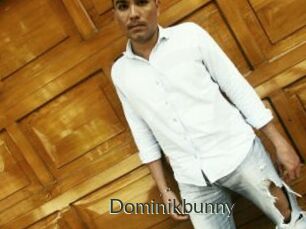 Dominikbunny