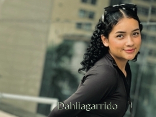 Dahliagarrido