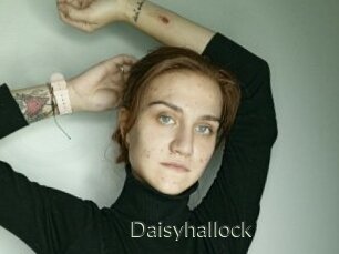 Daisyhallock