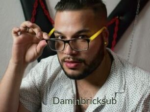 Daminbricksub