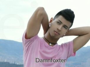 Damnfoxter