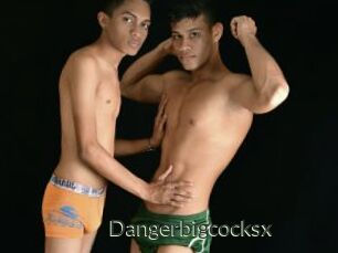 Dangerbigcocksx