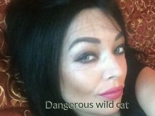 Dangerous_wild_cat